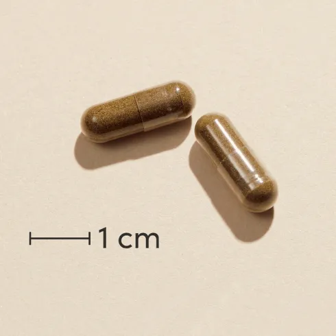 Omnivita Echinagold