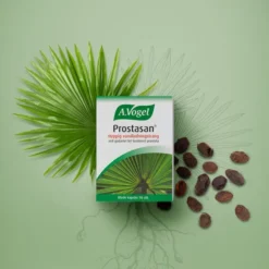 Prostasan