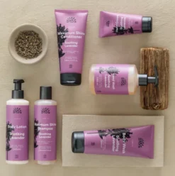 Shampoo Soothing Lavender T. Normal Hår