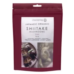 Shiitake Svampe