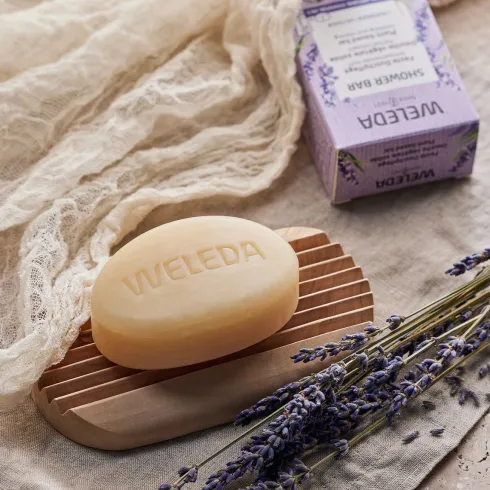 Shower Bar Lavender
