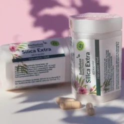 Silica Extra | 2 x 60 kapsler