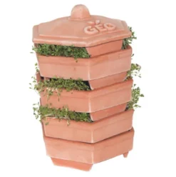 Terracotta Sprouter