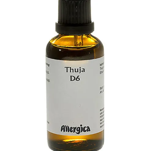 Thuja D6