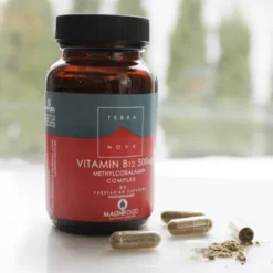 Vitamin B12 500 mcg